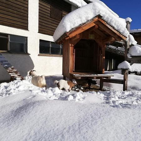 Zweimaederlhaus Apartment Bad Mitterndorf Ngoại thất bức ảnh