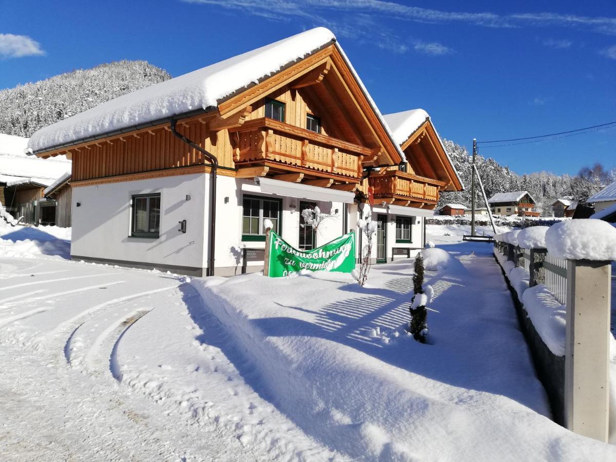 Zweimaederlhaus Apartment Bad Mitterndorf Ngoại thất bức ảnh